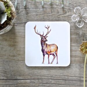 Single Coaster Stag