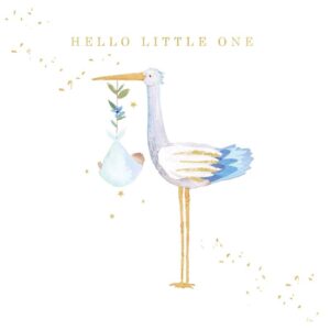 Baby Boy Card Hello Little One