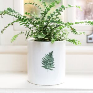 Fern Fine Bone China Storage Pot