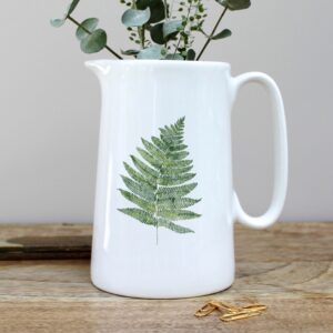 One Pint Jug Fern in a Gift Box