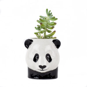 Panda Pencil/Storage Pot