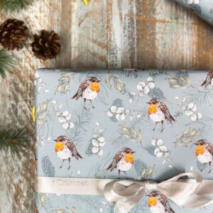 NEW! Robin & Eucalyptus Blue Gift Wrap Single sheet