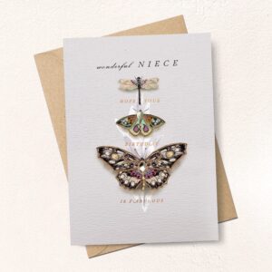 Wonderful Niece Birthday Card