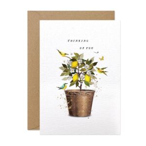 Thinking Of You Lemon Tree Card Thinking Of You Lemon Tree Card