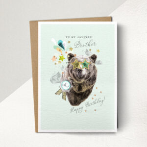 Amazing Brother Bear Card IMG 1318.jpeg