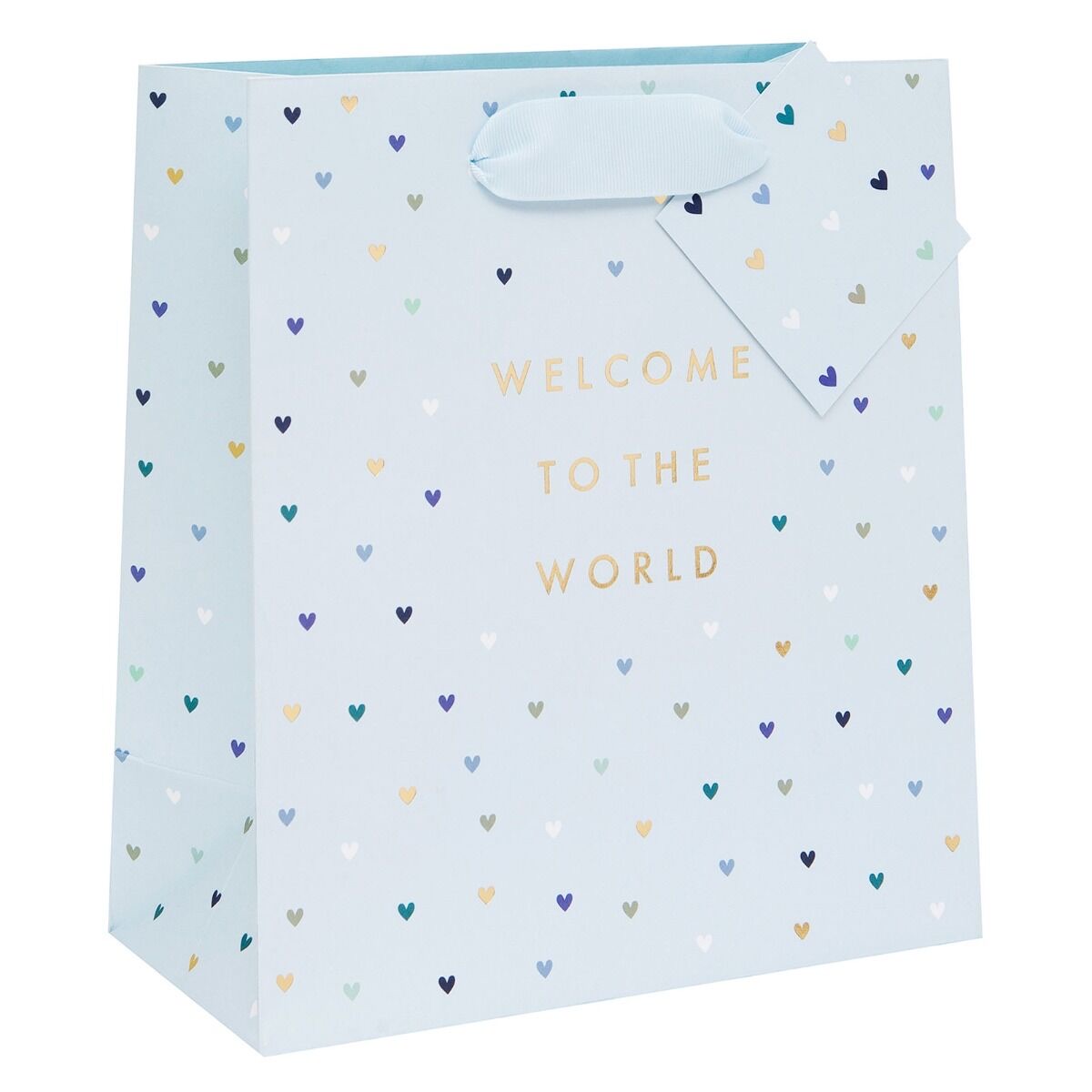 Welcome To The World Little One BLUE Gift Bag – 2 Sizes 2 IMG 1449.jpeg