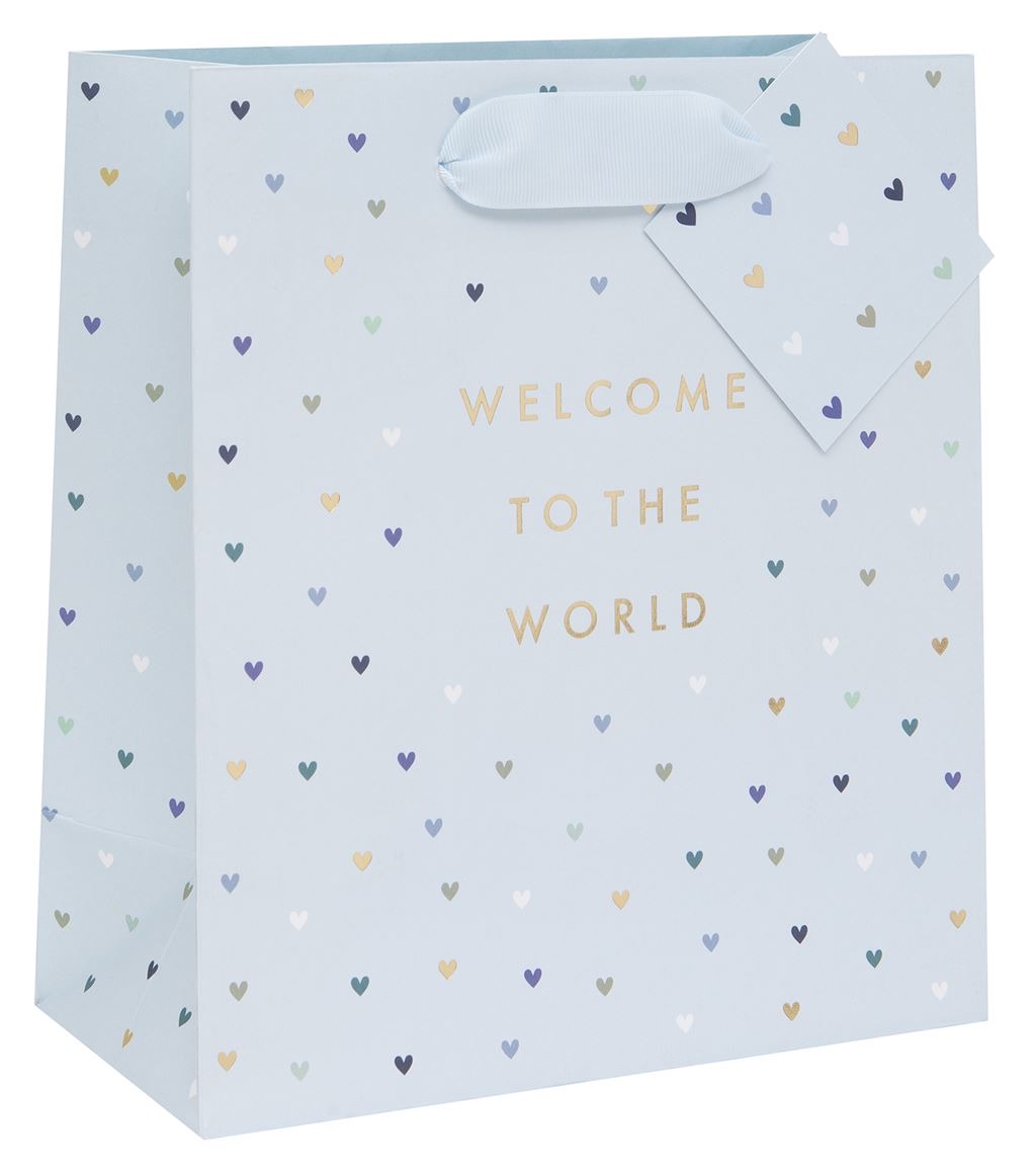 Welcome To The World Little One BLUE Gift Bag – 2 Sizes 3 IMG 1485.jpeg