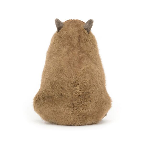 Jellycat Clyde Capybara 2 IMG 4125.jpeg