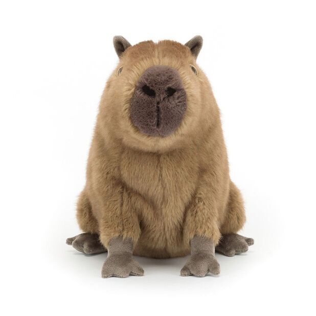 Jellycat Clyde Capybara IMG 4126.jpeg