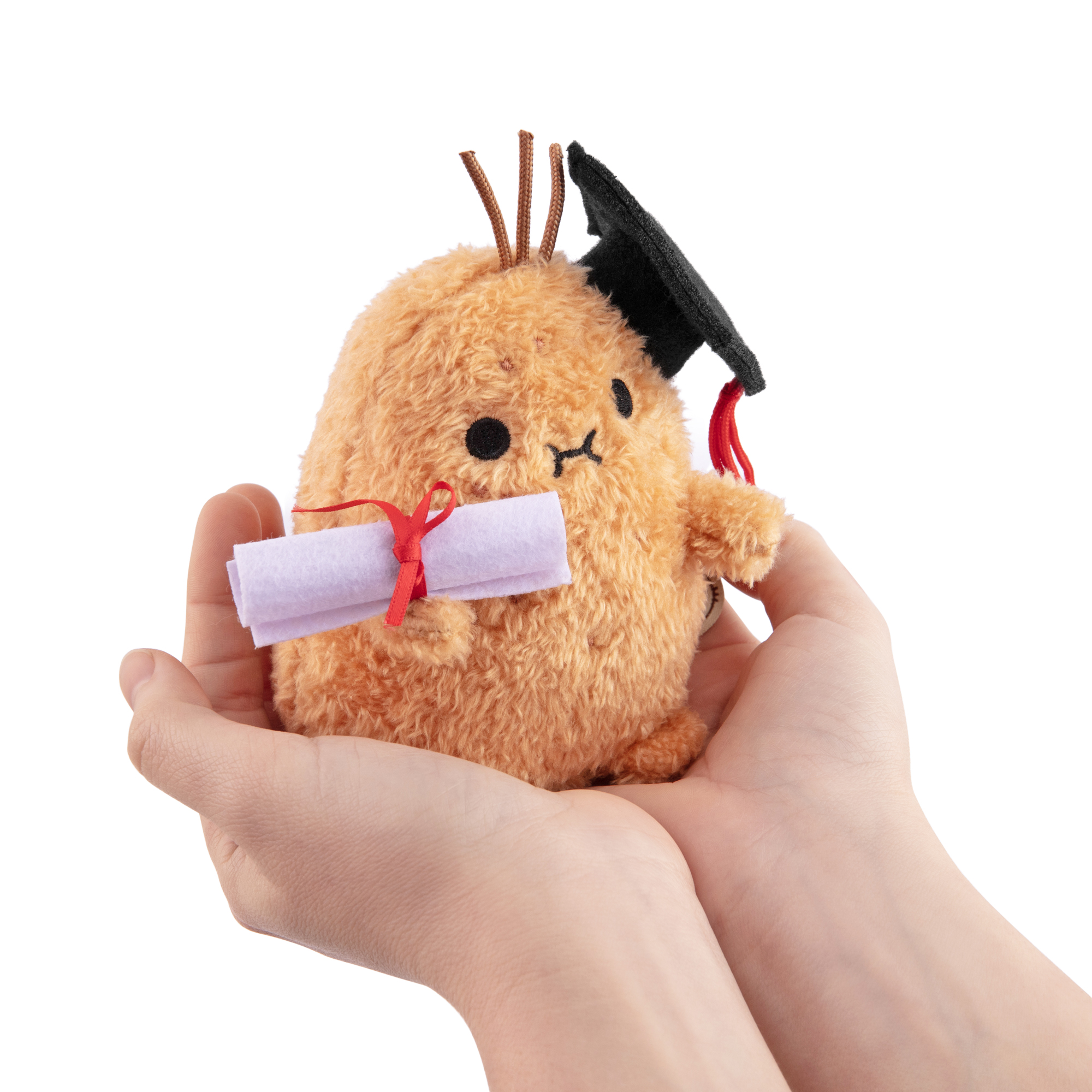 Noodoll Happy Graduation Congratulations Gift Box 3 IMG 5154.jpeg