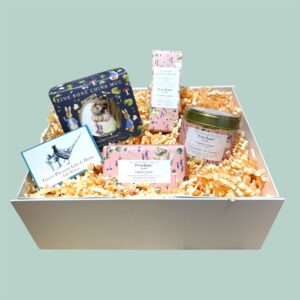 NEW Peter Rabbit Collection Gift Box – Mrs TiggyWinkle Photoroom 20250806 204434.jpeg