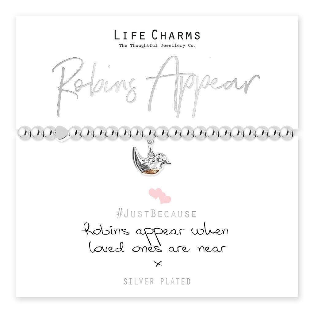 Life Charms Robins Appear Bracelet, Silver IMG 6837.jpeg