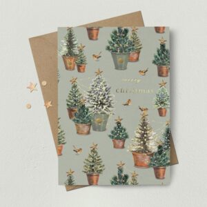 Christmas Tree Pots and Robin Christmas Card