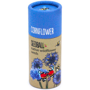 Cornflower Wildflower Seed Balls IMG 9720.jpeg