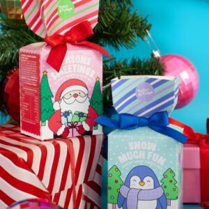 Sweet Cracker – Snow Much Fun Penguin – Vegan Sweet Cracker Snow Much Fun Penguin Vegan