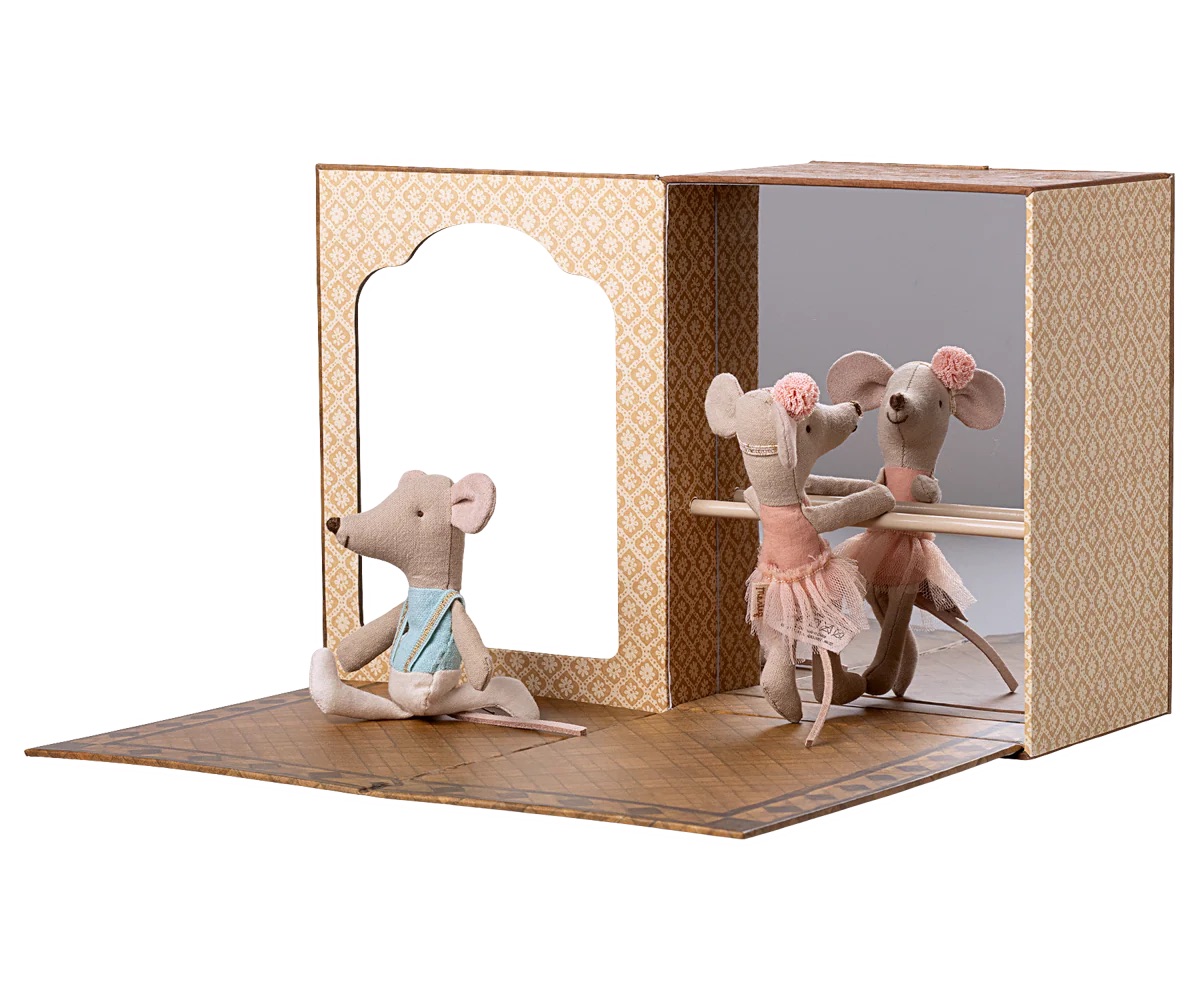 Ballet mice in dance studio, Little sister and brother IMG 5637.jpeg