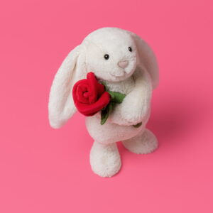 Jellycat
