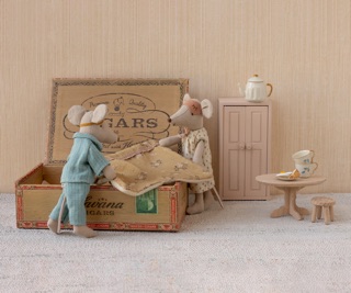 Mum & Dad mice in cigarbox 2 IMG 8017.jpeg