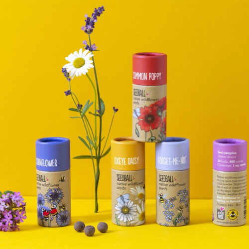 gift ideas seedball seeds gift ideas seedball seeds