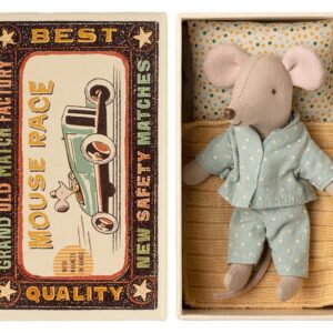 Little brother mouse in matchbox