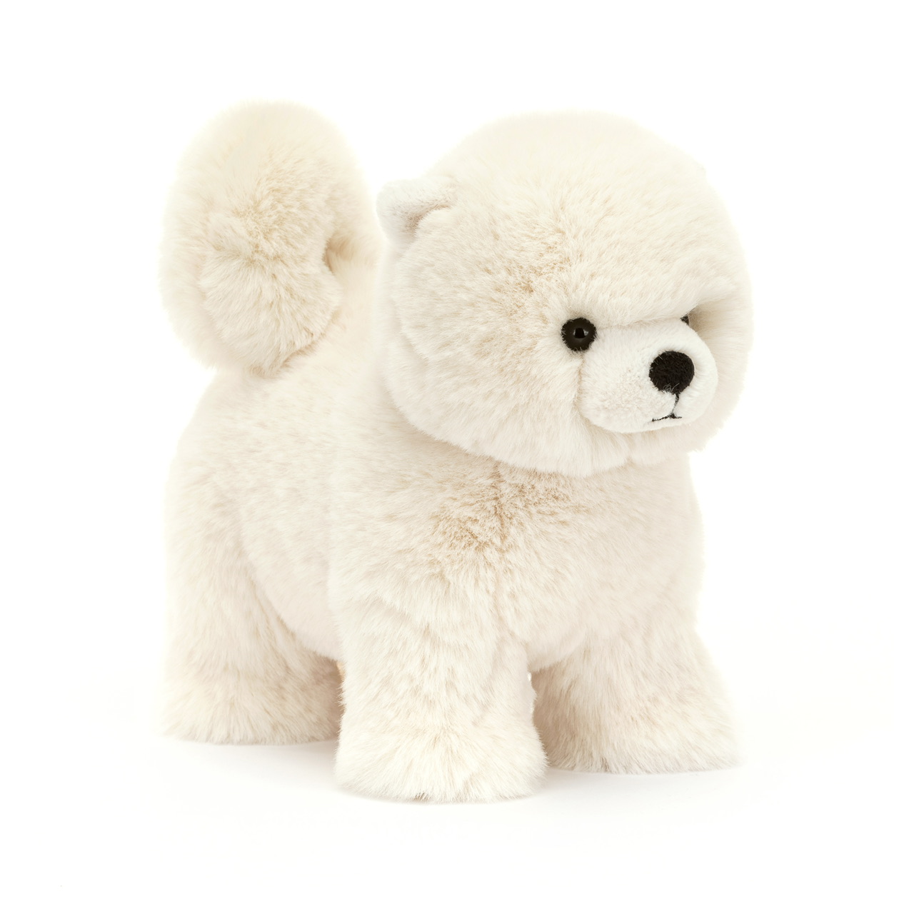 Jellycat Daphne Pomeranian IMG 0057.jpeg
