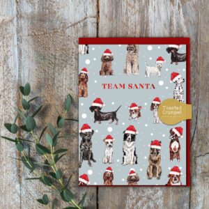 Team Santa Mini Christmas card 5DB8BE97 C62B 4BE1 8A99 5AD966E68925.jpeg