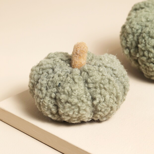 Small Green Boucle Pumpkin Decoration IMG 0870.jpeg