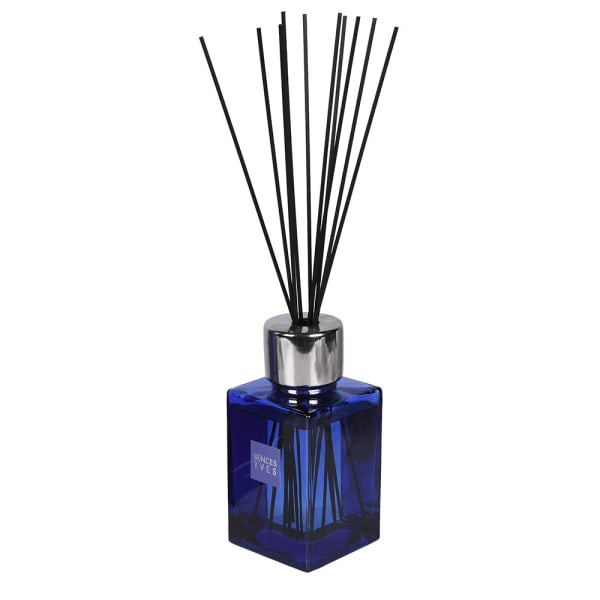 Sences Large Diffuser – Yves 2 IMG 1001.jpeg