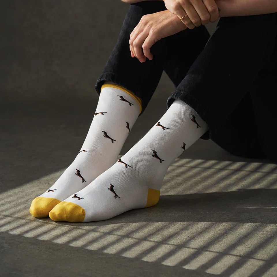 Bamboo Socks – The Sausage 3 IMG 1388.jpeg
