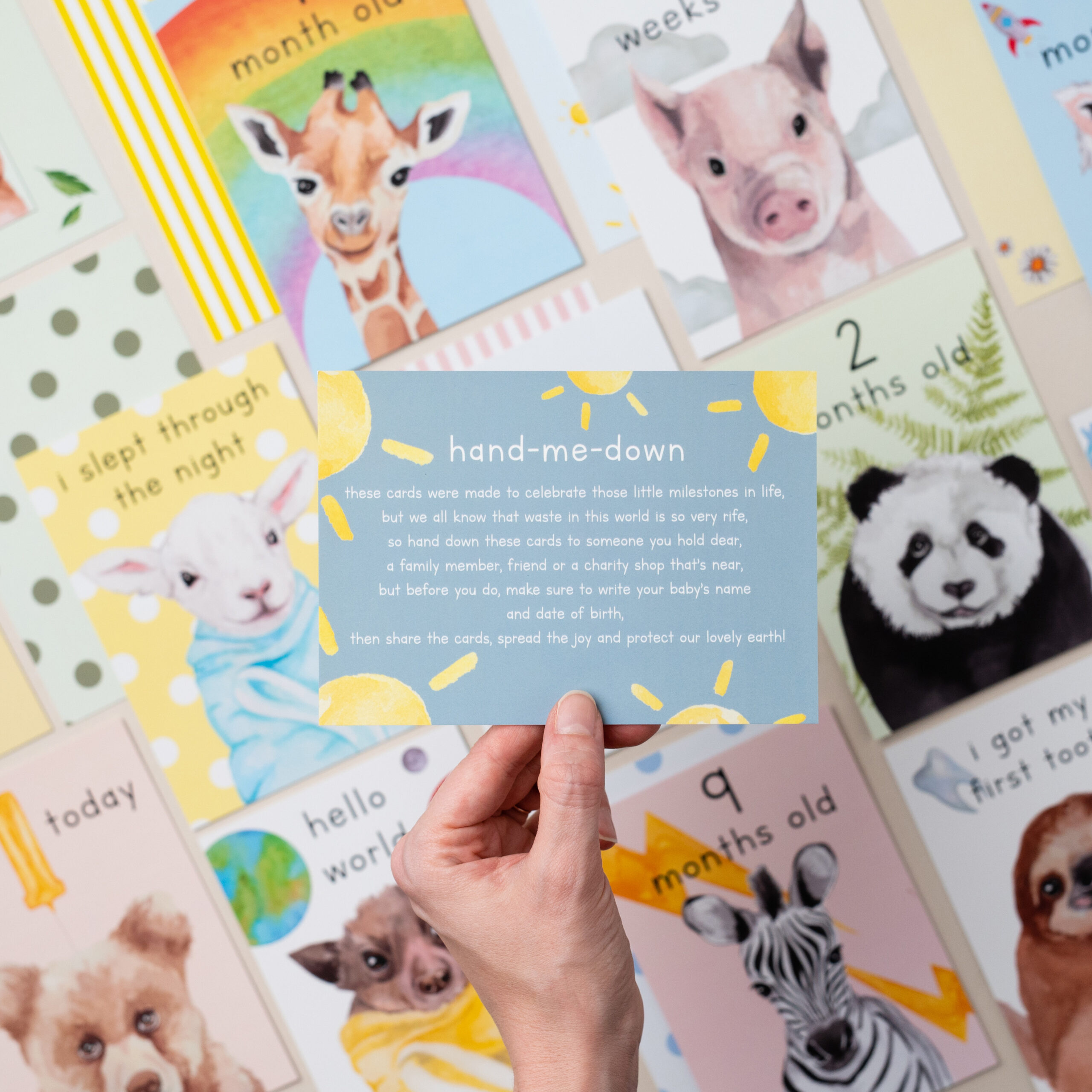Baby Milestone Cards 3 IMG 6518.jpeg