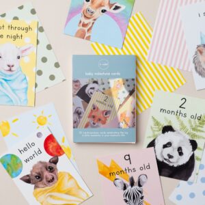 Baby Milestone Cards Baby Milestone Cards