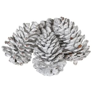 Bag of White Christmas Pine Cones Bag of White Christmas Pine Cones