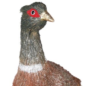 Brown Feather Pheasant Brown Feather Pheasant