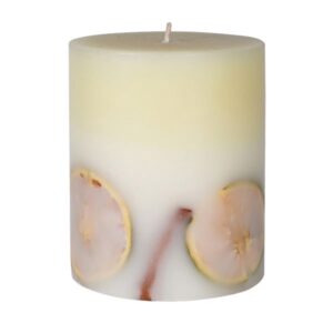 Winter Spice Botanical Scented Candle Winter Spice Botanical Scented Candle
