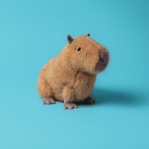 Jellycat Capybara Jellycat Capybara