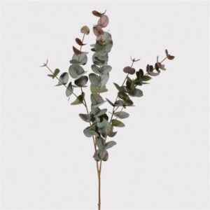 Natural Blush Eucalyptus Spray Natural Blush Eucalyptus Spray